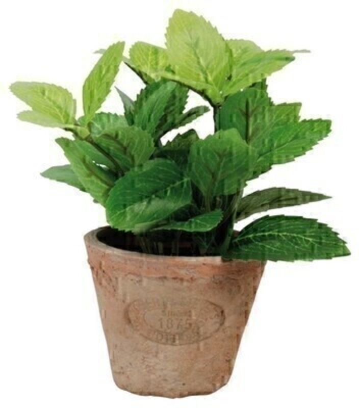 Artificial mint plant in small aged terracotta pot. Needs no watering! Size: 13.8 x 1.38 x 16.2cm
